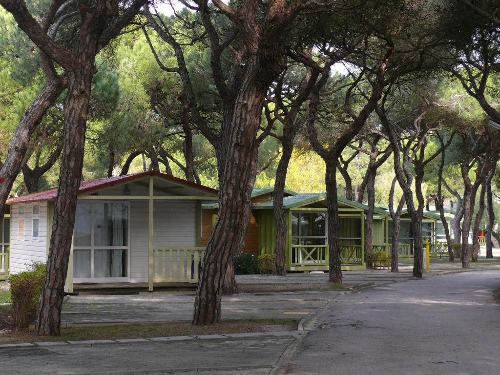 Hotel Parque De Campismo Orbitur Costa De Caparica Camera foto